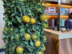 -万豪金殿(香港JW万豪酒店)