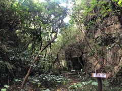 -鹅銮鼻公园