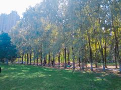 -长白岛森林公园