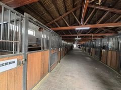 -北京群众马术培训基地