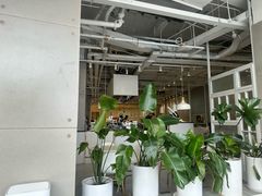-娜娜家·Nana's restaurant(国金汇店)