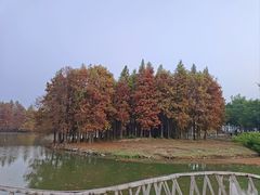 -厦门园林博览苑