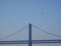 -星海广场