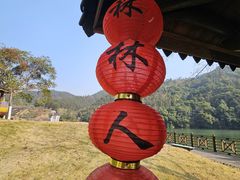 -天台国家森林公园水上茶乡九鹏溪