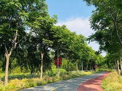 -上海长兴岛郊野公园