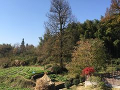 -塔川景区