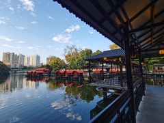 景观位-侨美·唐荔园·40年地道粤菜