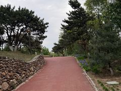 -云岗森林公园