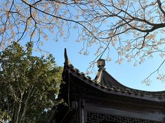 -葛仙湖公园