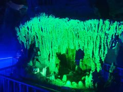 -泰安地下龙宫景区