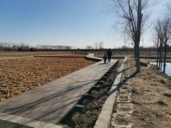 -永定河休闲森林公园