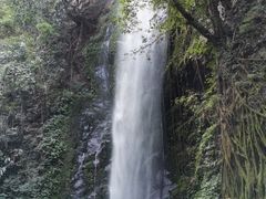 -莫里热带雨林景区
