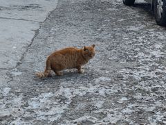-终南山南五台景区