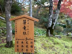 -天龙寺