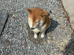 -小时光咖啡馆(开森度假森林店)