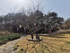 -云峰山自然风景区