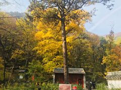 -北京上方山国家森林公园