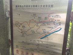 -铁山坪森林公园