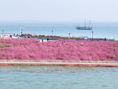 -贡湖湾湿地公园