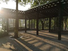 -重庆彩云湖湿地公园