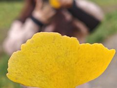 -皇粮浜湿地公园