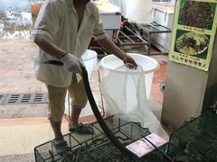 -荔城生鲜盛宴(番禺旗舰店)