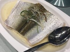 白水鱼-太湖饭店·寄畅轩中餐厅