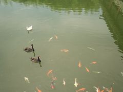 -安吉涵田度假村·水榭居中餐厅