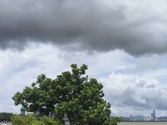 -深圳湾公园(南山区)