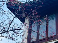 -八大山人梅湖景区