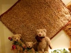 android_upload_pic-济州岛泰迪熊博物馆