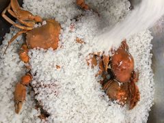 -蚝得喜海鲜(东城店)