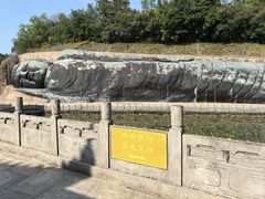 -三水森林公园