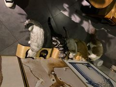 -咖法森林·咖啡  酒吧(天河店)