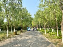 -东郊湿地公园