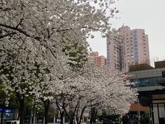 -玛格萝妮比萨屋(四平店)