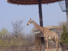 -济南野生动物世界