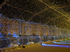 -长春世界雕塑园冰雪艺术天地