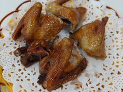 -渔鸽皇酒楼(鸿大广场店)