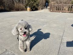 -七仙岭温泉国家森林公园