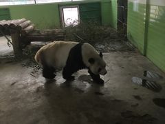 -石家庄市动物园