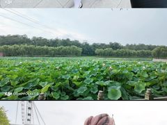 -南戴河国际娱乐中心