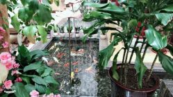 -成都世外桃源酒店-宴会厅·草坪婚礼·会议活动