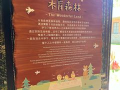 -日照海滨国家森林公园