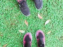 -昆山城市生态森林公园