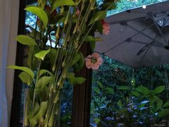 -春暖花开(西溪店)