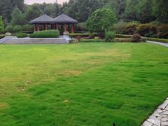 -西郊宾馆-地面停车场