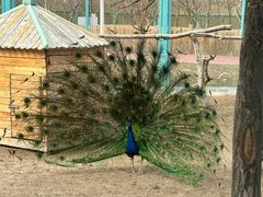 -水上乐园·欢乐世界