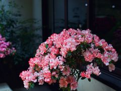 -汇龙潭