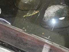 -一桶江山餐厅(松北店)